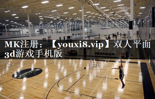 双人平面3d游戏手机版
