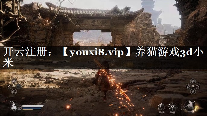 养猫游戏3d小米