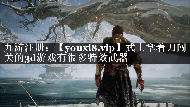 武士拿着刀闯关的3d游戏有很多特效武器